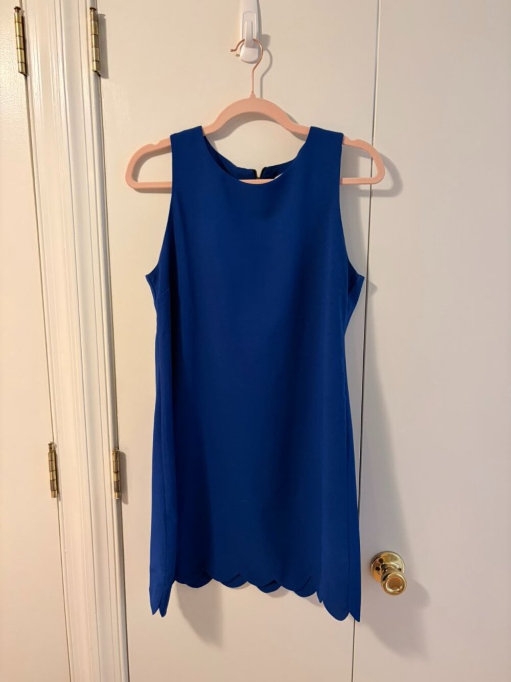 ✨ Monteau Los Angeles Cobalt Royal Blue Scalloped Shift Dress ✨ - Picture 7 of 7